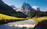 alps alps